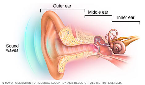 Hearing Rehabilitation Therapy - Mankato - Mayo Clinic ... block diagram hearing aid 
