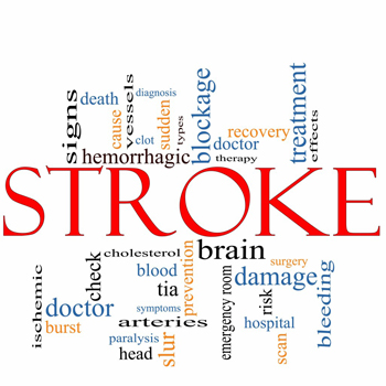 Stroke 350x350