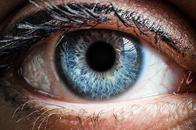 Eye