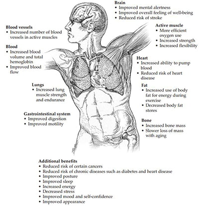 Health Benefits of Physical Activity