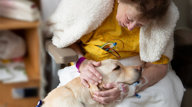 Luna the pet therapy dog