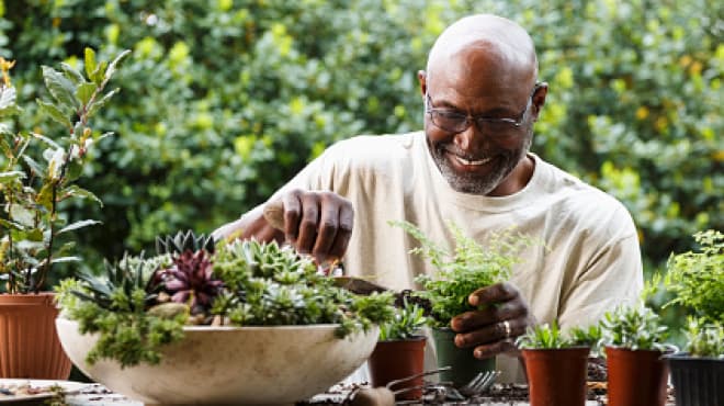 Container gardening with succulents