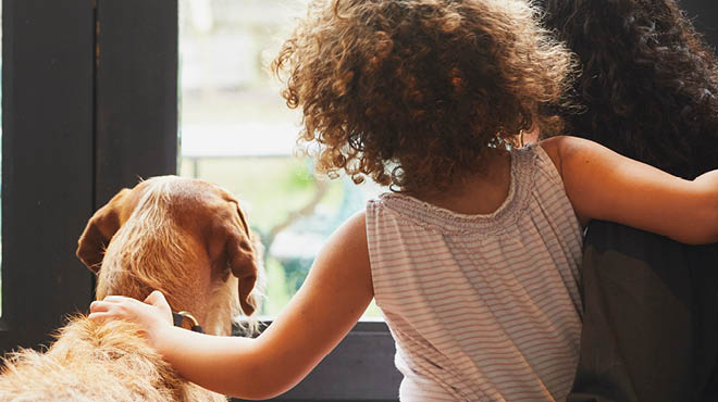 Dog, child and parent looking out a door window