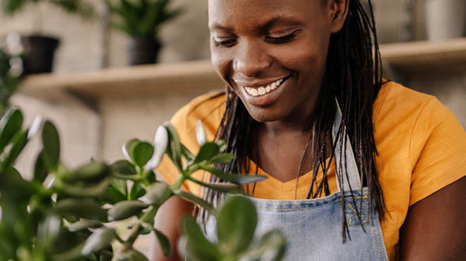 Florist working with plant