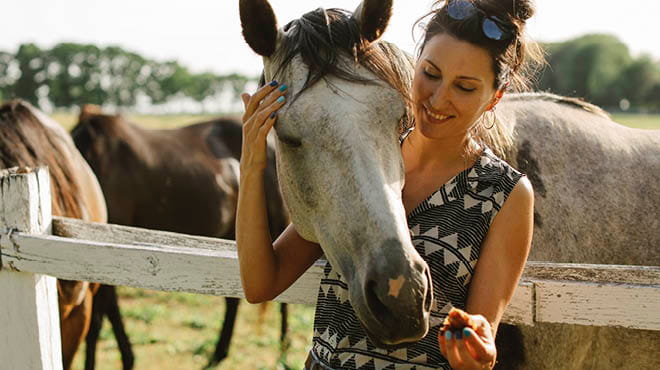 Person feeding horse