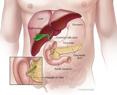 Pancreatitis Eau Claire Gastroenterology Mayo Clinic Health System